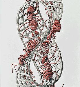 Moebius Strip II by M.C. Escher